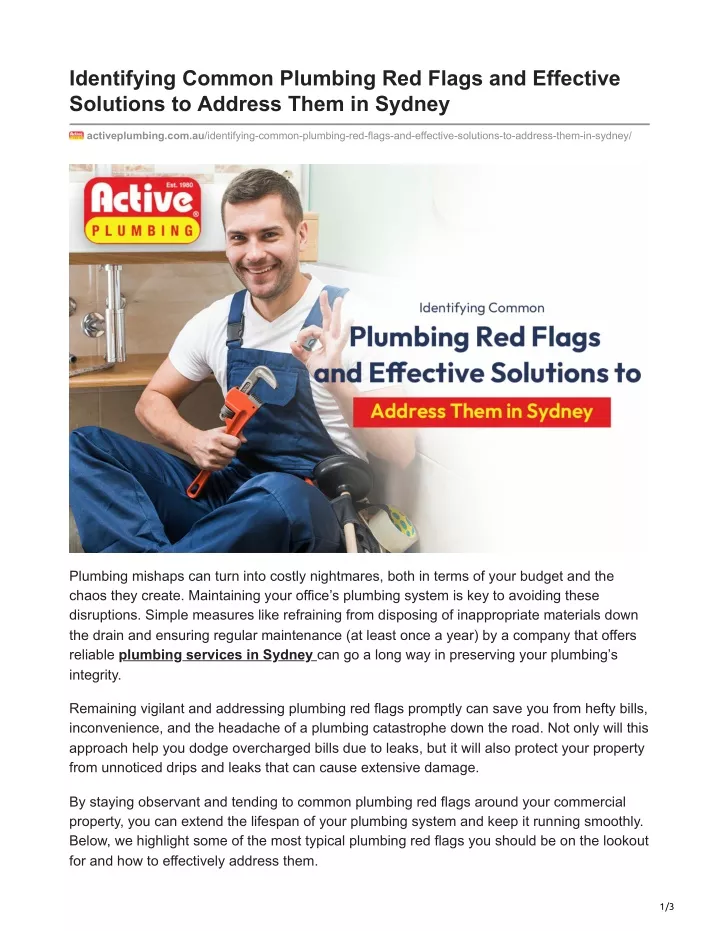 identifying common plumbing red flags