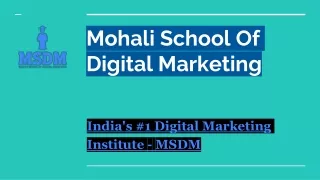 mohali school of digital marketing