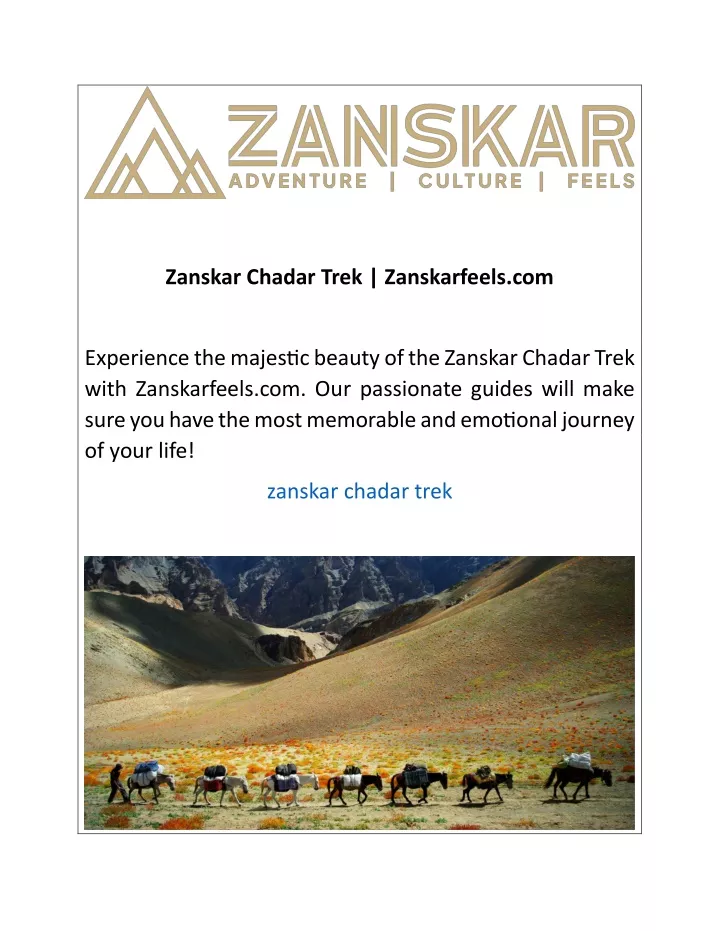 zanskar chadar trek zanskarfeels com