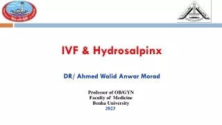 IVF & Hydrosalpinx (Dr. Ahmed Walid Anwar Morad)