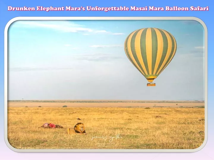drunken elephant mara s unforgettable masai mara