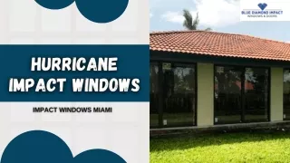 Explore the Perfect Hurricane Impact Windows In Miami | Blue Diamond Impact