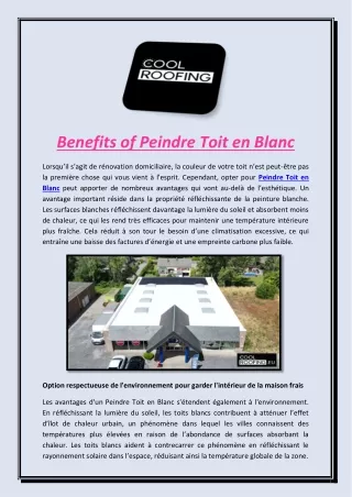 Benefits of Peindre Toit en Blanc