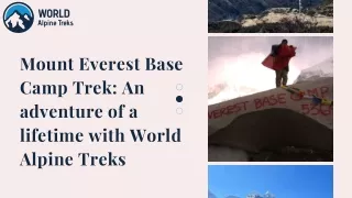 14 Days Mount Everest Base Camp Trek |Plan with World Alpine Treks