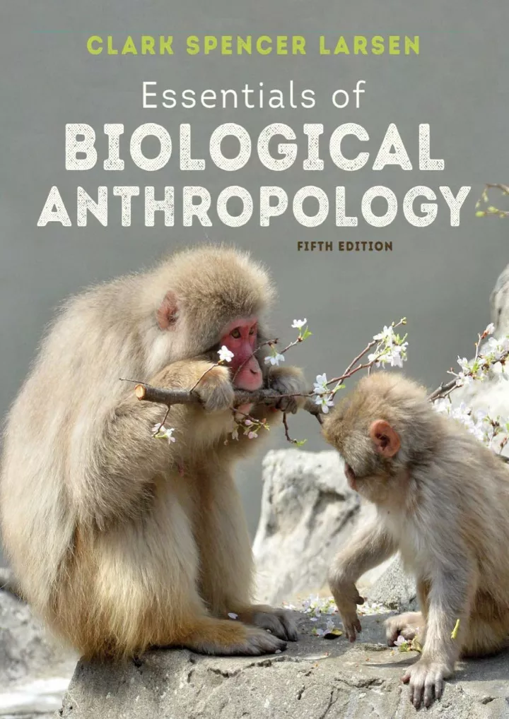 read pdf essentials of biological anthropology