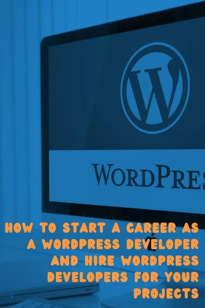 how to start a career as a wordpress developer