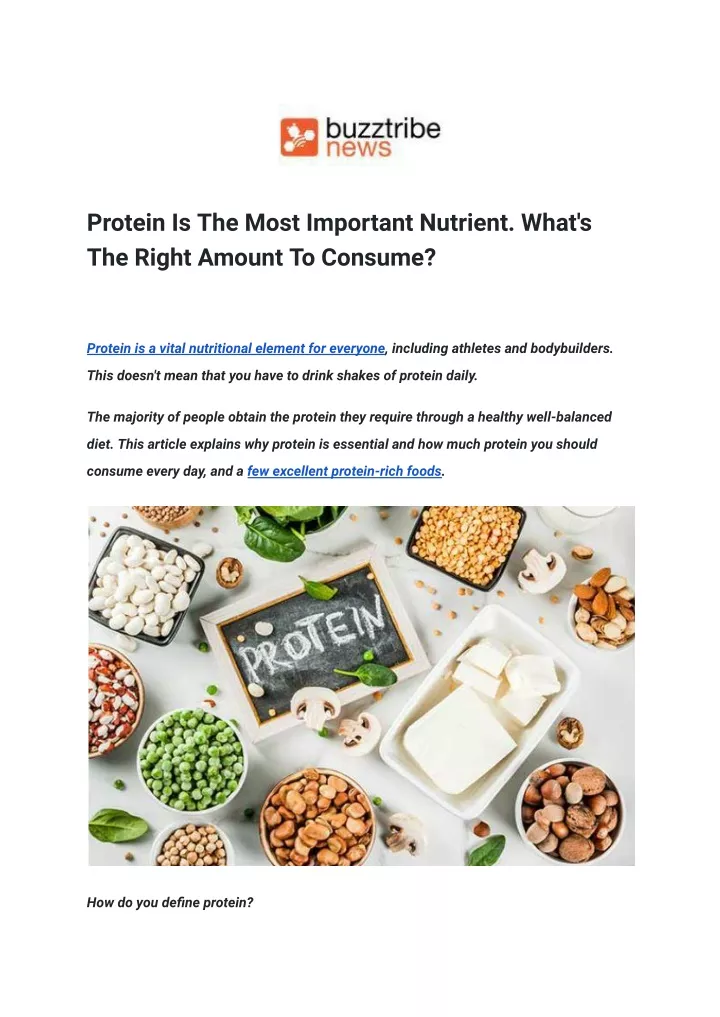 protein is the most important nutrient what