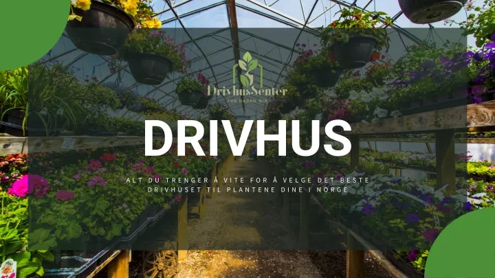 drivhus