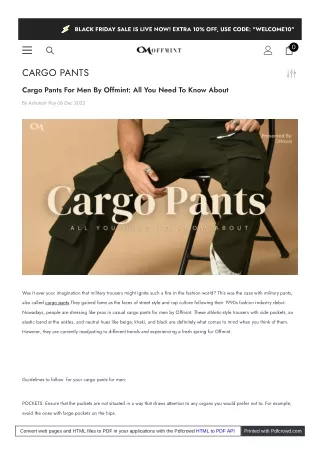 offmint_com_blogs_cargo_pants_cargo_pants_for_men_by_offmint (1)