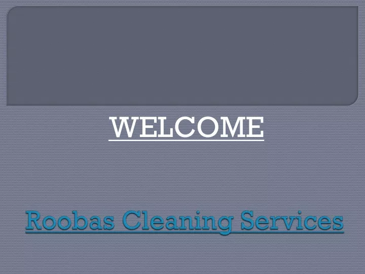 roobas cleaning services