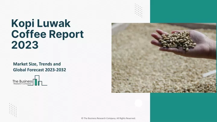 kopi luwak coffee report 2023