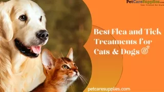 Best Flea and Tick Treatment for cats and dogs |petcaresupplies|