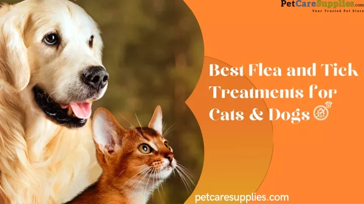 best flea and tick treatments for cats dogs