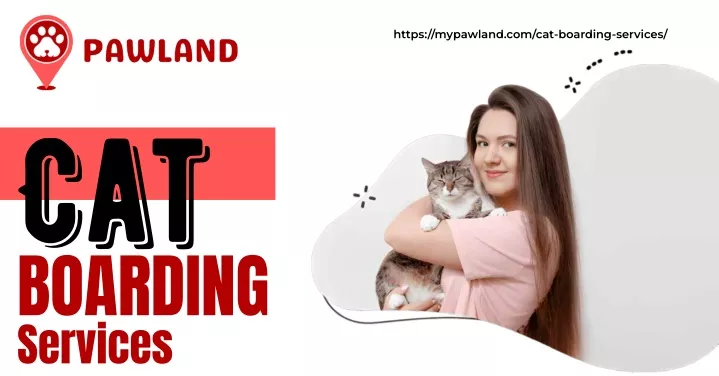 https mypawland com cat boarding services