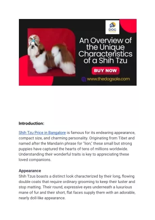 An Overview of the Unique Characteristics of a Shih Tzu