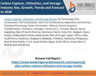 carbon capture utilization and storage industry