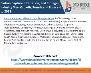 carbon capture utilization and storage industry