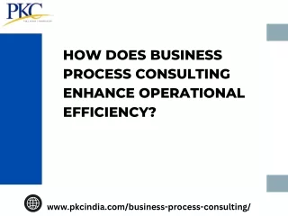 Business Process Consulting - PKC CONSULTING