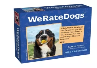 $PDF$/READ/DOWNLOAD️❤️ Thoughts of Dog 2024 Day-to-Day Calendar