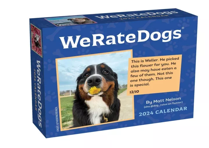 PPT PDF/READ/DOWNLOAD️ ️ Thoughts of Dog 2024 DaytoDay Calendar
