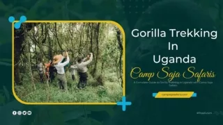 Gear Up for Gorilla Glory: Essential Packing Tips for Your Uganda Trek with Camp