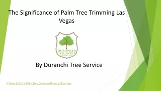 Ensuring Safety: Palm Tree Removal Las Vegas