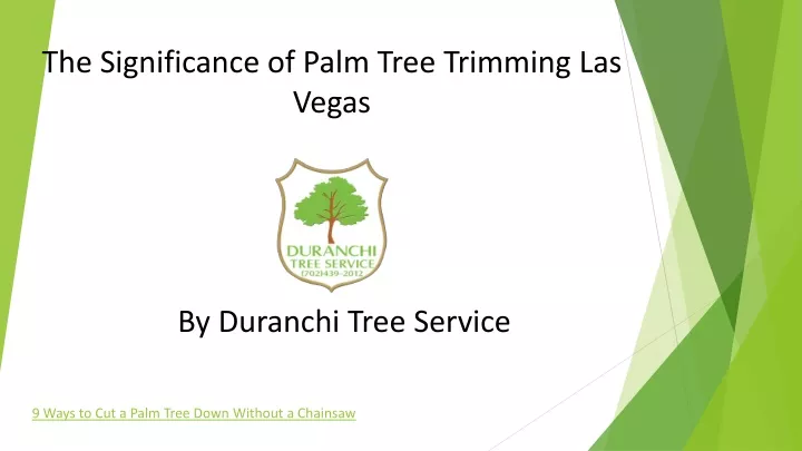 the significance of palm tree trimming las vegas