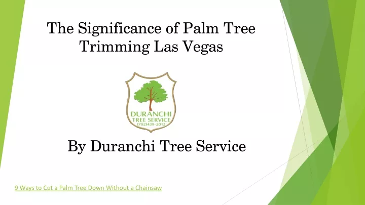 the significance of palm tree trimming las vegas