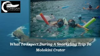 What To Expect During A Snorkeling Trip To Molokini Crater