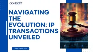 Navigating the Evolution: IP Transactions Unveiled