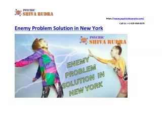 Enemy Problem Solution in New York