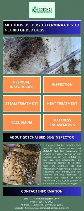 Methods Used by Exterminators to Get Rid of Bed Bugs