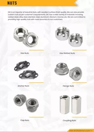 Industrial Nuts Exporters