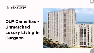DLF Camellias - Unmatched Luxury Living in Gurgaon