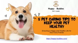 5 Pet Caring Tips to Keep Your Pet Healthy