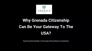Why Grenada citizenship can be your gateway to the usa