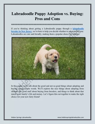 Labradoodle Puppy Adoption vs Buying Pros and Cons