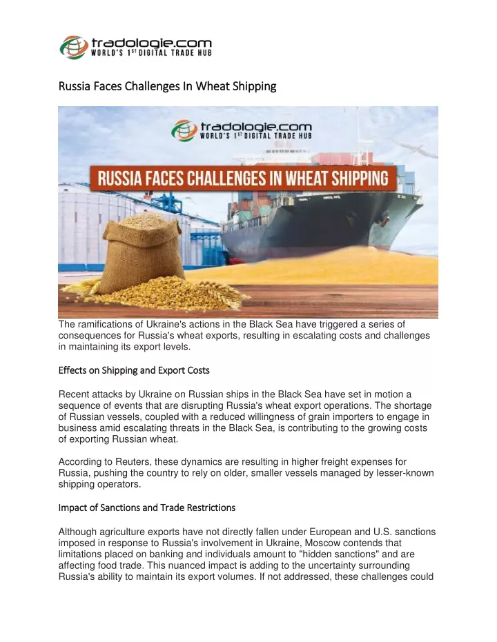 russia faces challenges in wheat shipping russia