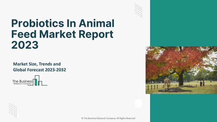 probiotics in animal feed market report 2023