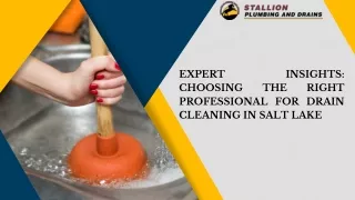 Expert Insights Choosing the Right Professional for Drain Cleaning in Salt Lake