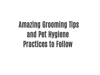 Grooming Tips and Pet Hygiene Practices to Follow