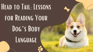 Head to Tail Lessons for Reading Your Dog’s Body Language