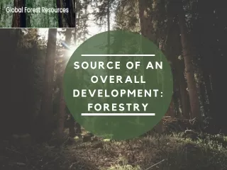 Source Of An Overall Development Forestry