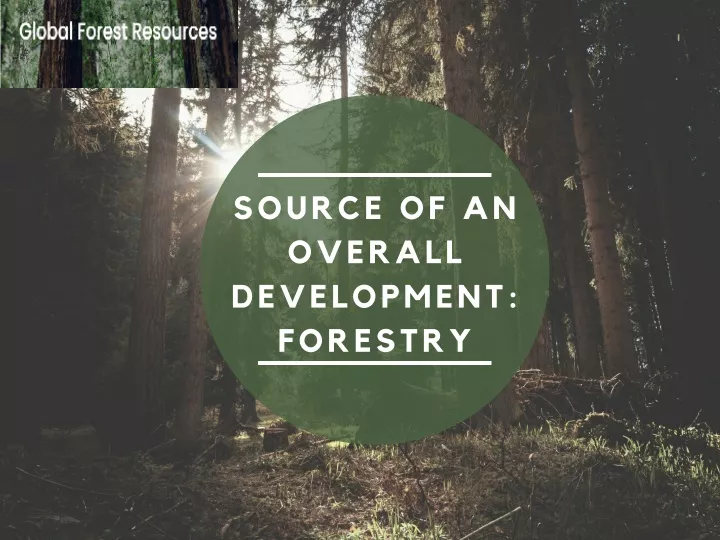 source of an overall development forestry