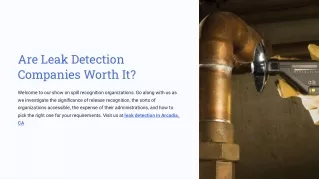 Are Leak Detection Companies Worth It?