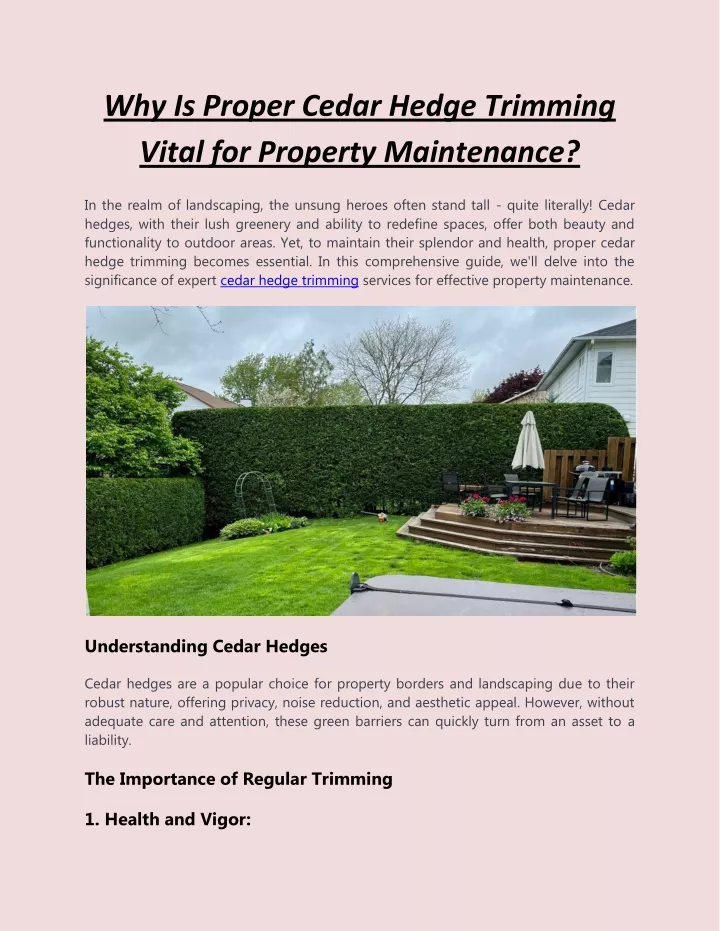 why is proper cedar hedge trimming vital