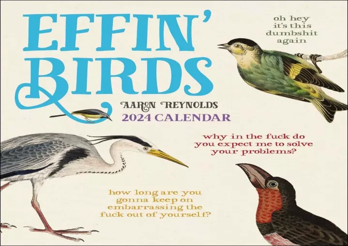 PPT Pdf⚡️(read Effin' Birds 2024 DaytoDay Calendar