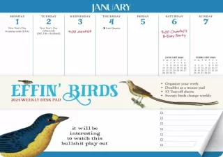 Download⚡️(PDF)❤️ Effin' Birds 12-Month 2024 Monthly/Weekly Planner Calendar