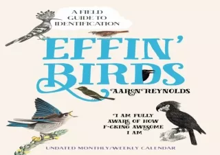 PDF✔️Download❤️ Effin' Birds 2024 Weekly Desk Pad Calendar