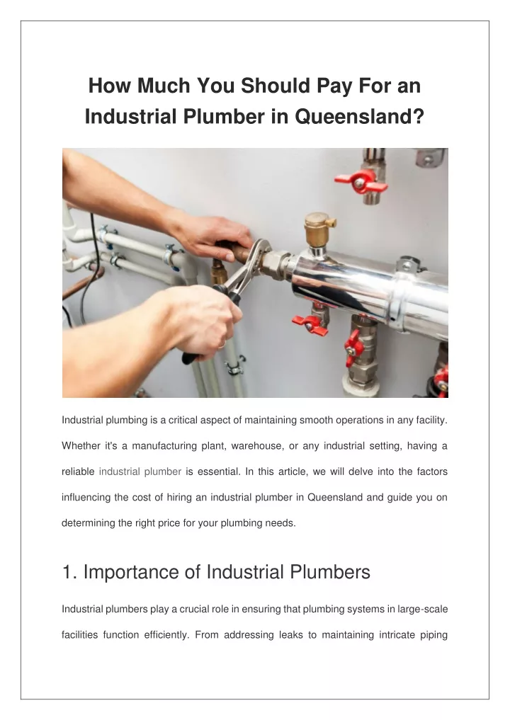 how much you should pay for an industrial plumber